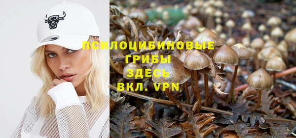 твердый Новодвинск