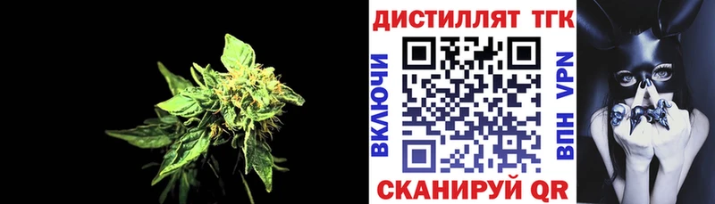 ТГК концентрат  Талдом 